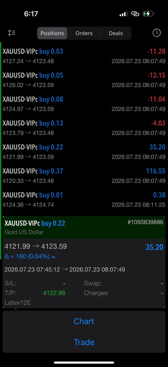 Live positions · VIP — MT5 trading result